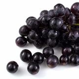 紫葡萄
