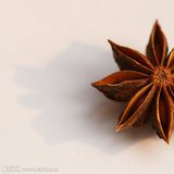 八角（大料，大茴香）