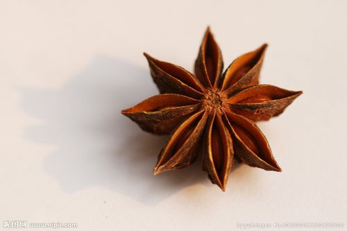 八角(大料,大茴香)