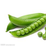豌豆