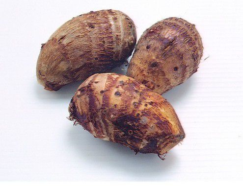 芋头(芋菜,毛芋)