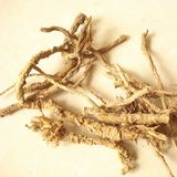 防风（根，鲜）