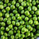 青豆（青大豆）