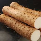 山药（薯蓣，大薯）