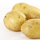 马铃薯（土豆，洋芋）