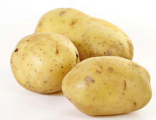 马铃薯(土豆,洋芋)