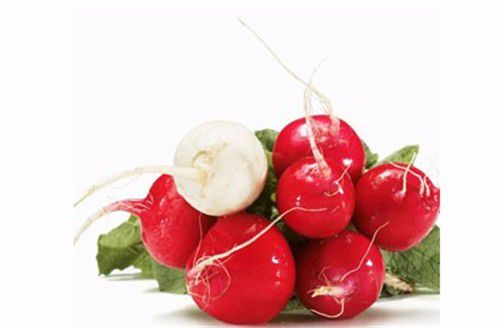 红旦旦萝卜