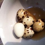 鹌鹑蛋（五香罐头）