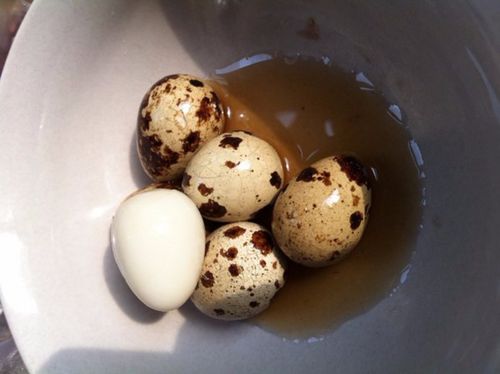 鹌鹑蛋(五香罐头)