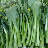 白菜薹（菜薹，菜心）