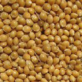 糜子米（炒米）