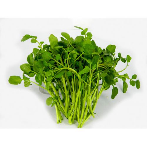 豆瓣菜(西洋菜,水田芥)