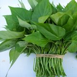 白薯叶（甘薯叶）