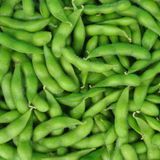 毛豆（青豆，菜用大豆）