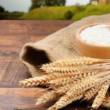 小麦粉（标准粉）