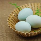 鸭蛋