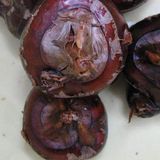 慈菇（乌芋，白地果）