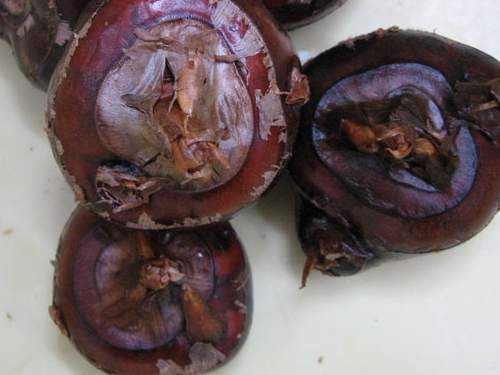 慈菇（乌芋，白地果）