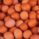 鸡蛋（红皮）