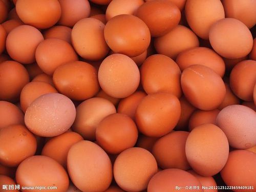 鸡蛋（红皮）
