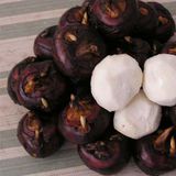 荸荠（马蹄，地栗）