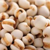 薏米（薏仁米，苡米）