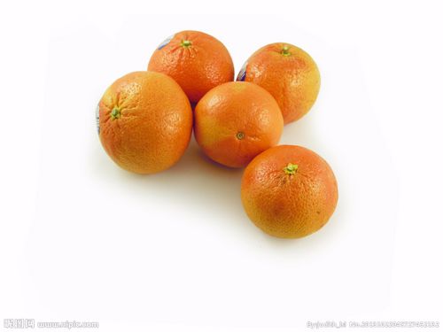 蜜橘