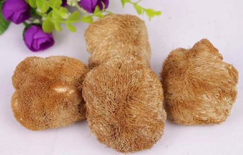 猴头菇（罐装）