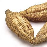 葛（葛薯，粉葛）