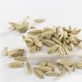 茴香籽（小茴香籽）