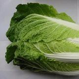 大白菜（青白口）