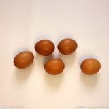 鸡蛋（红皮）#2