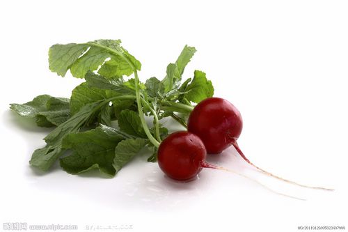 小水萝卜(算盘子,红皮萝卜)