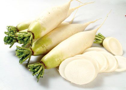 白萝卜(菜菔)