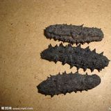 海参（干）