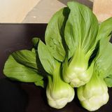 瓢儿白（瓢儿菜）