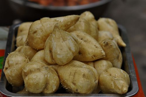 豆薯（凉薯，地瓜，沙葛）