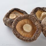 冬菇（干）（毛柄金线菌）