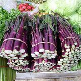 红菜薹（紫菜薹）