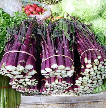 红菜薹（紫菜薹）
