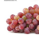红玫瑰葡萄