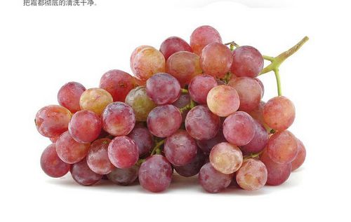 红玫瑰葡萄
