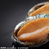 鲍鱼（杂色鲍）