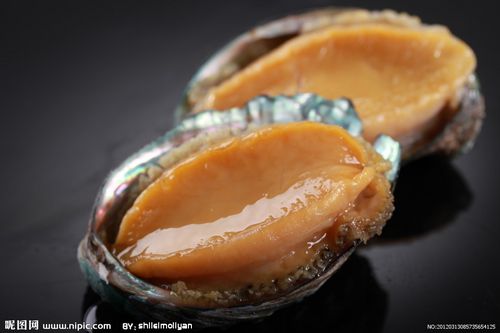 鲍鱼（杂色鲍）